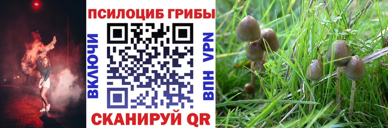 Галлюциногенные грибы мицелий Бобров